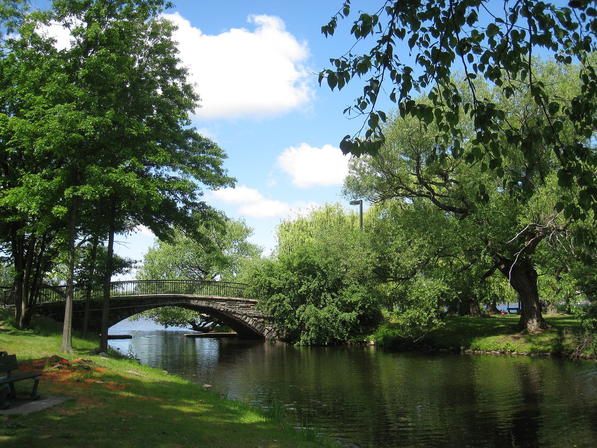 Charles River Esplanade, near 330 Beacon