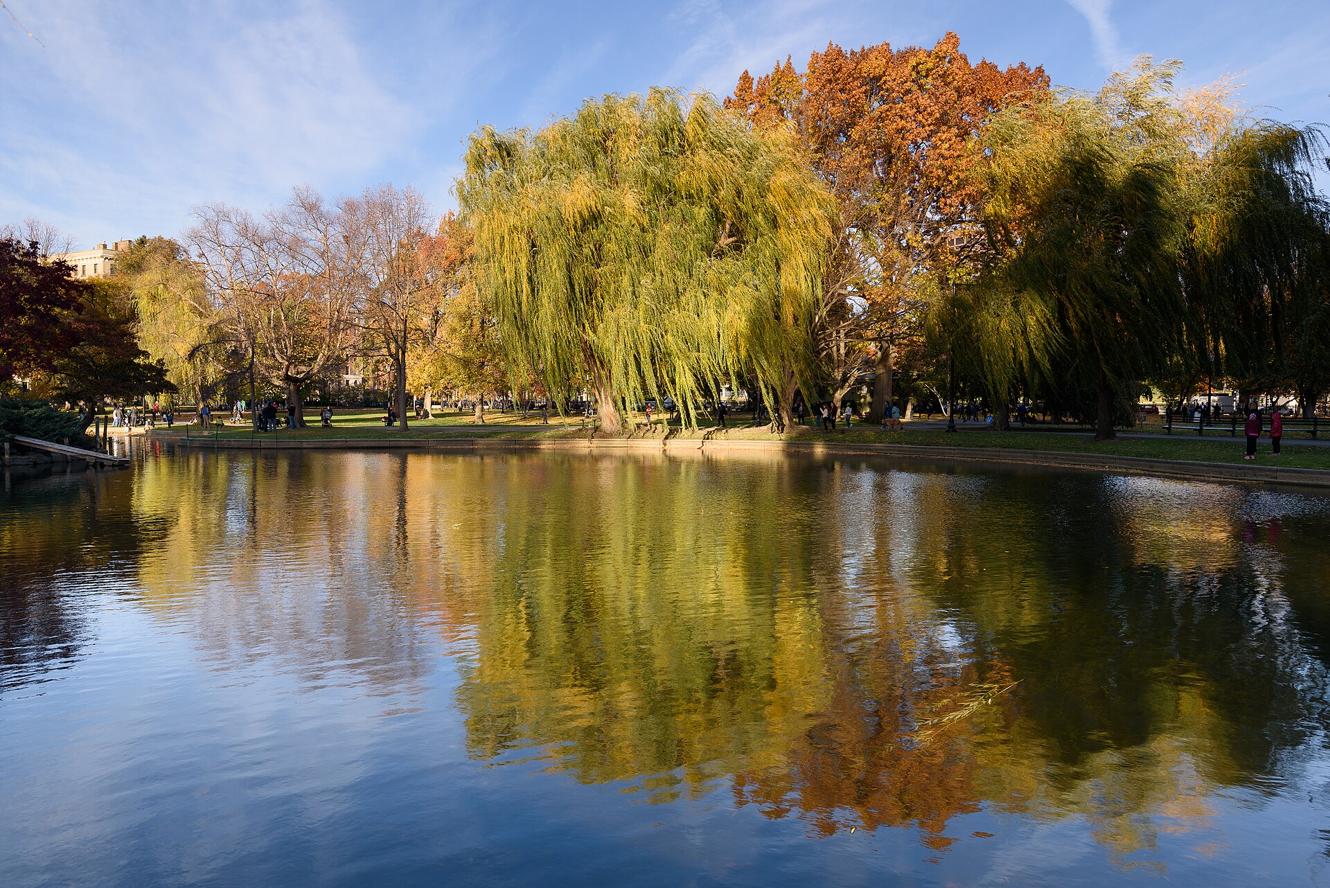 Public Garden, near Four Seasons Place